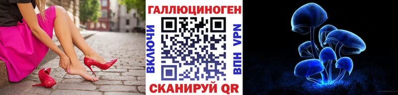 Купить закладки  Ленинск-Кузнецкий  Галлюциногенные грибы Psilocybe 