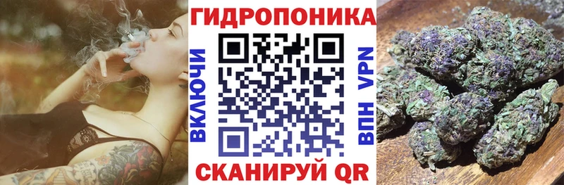 Бошки Шишки THC 21%  Купить  Ленинск-Кузнецкий 